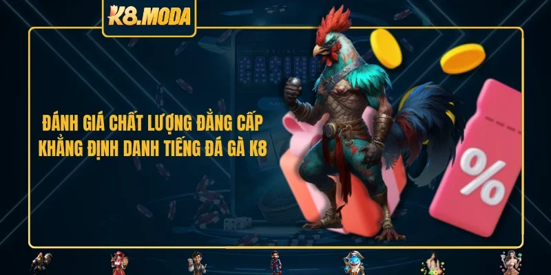 Đánh giá chất lượng đẳng cấp khẳng định danh tiếng đá gà K8 