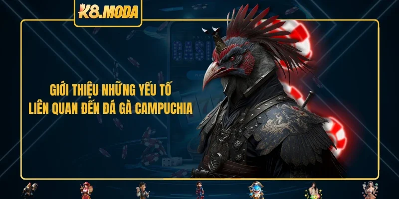 Giới thiệu những yếu tố liên quan đến đá gà Campuchia