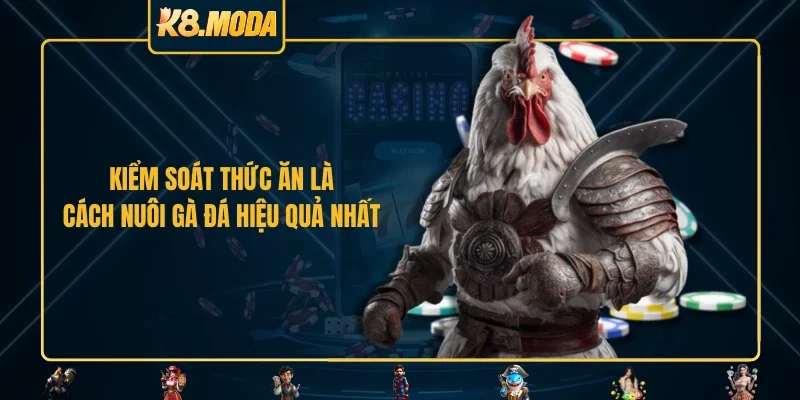 Kiểm soát thức ăn là cách nuôi gà đá hiệu quả nhất