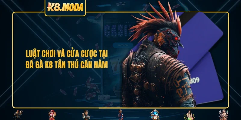 Luật chơi và cửa cược tại đá gà K8 tân thủ cần nắm 