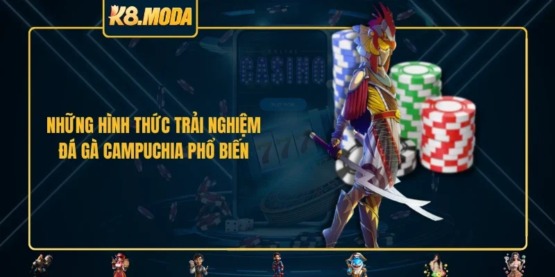 Những hình thức trải nghiệm đá gà Campuchia phổ biến